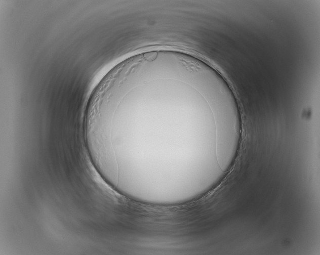 X0000113931516200911061208