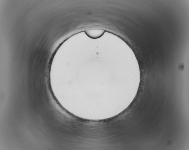 X0000113931518200911061208