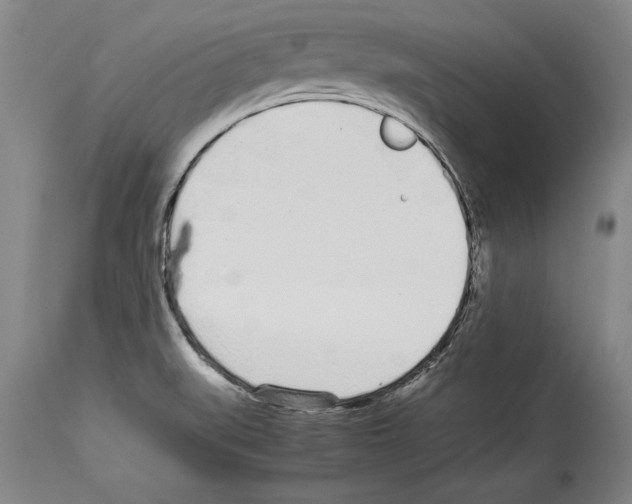 X0000113931519200911061208