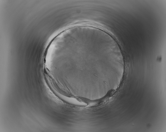 X0000113931522200911061208