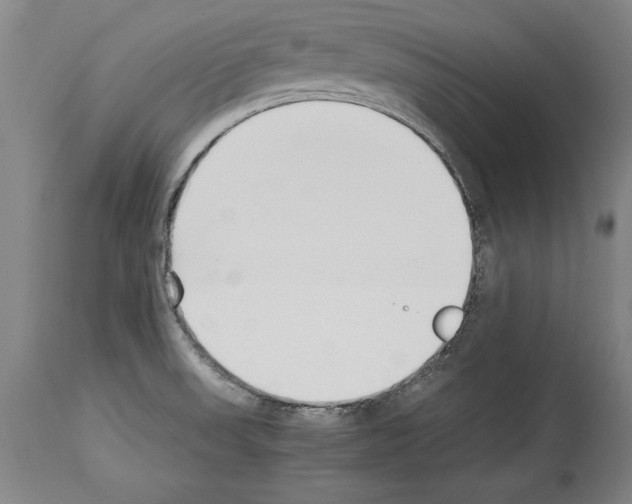 X0000113931523200911061208
