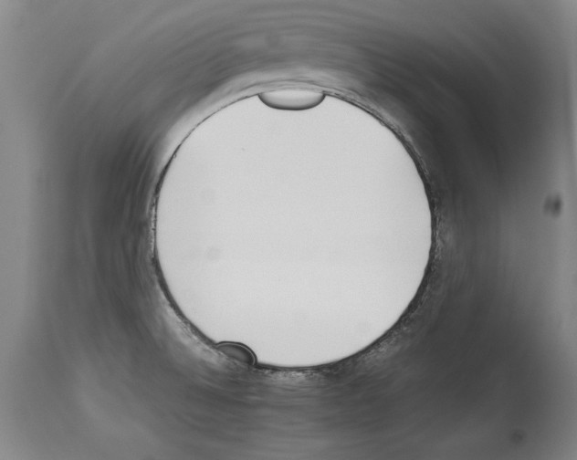 X0000113931524200911061208