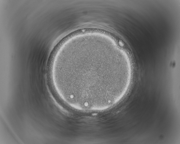 X0000113931525200911061208