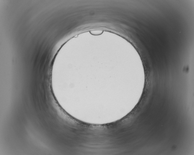X0000113931526200911061208
