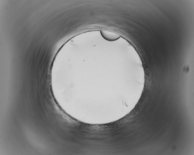 X0000113931527200911061208