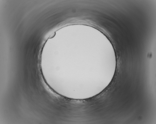 X0000113931528200911061208