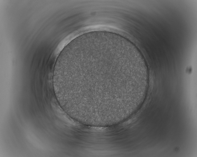 X0000113931529200911061208