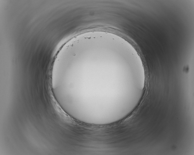X0000113931530200911061208