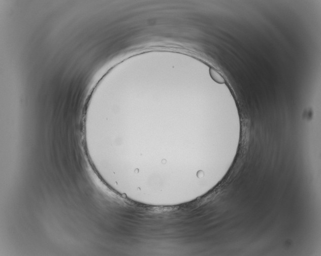X0000113931531200911061208