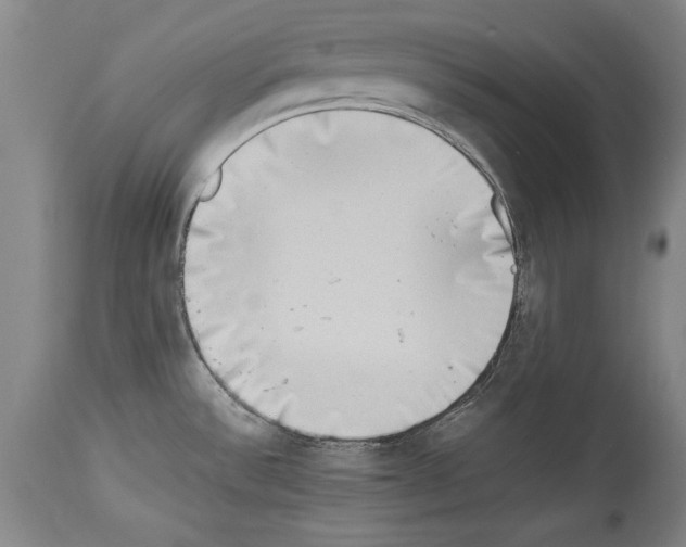 X0000113931532200911061208