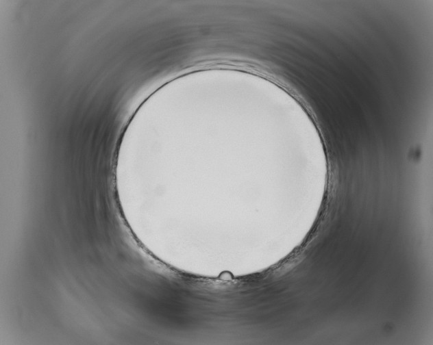 X0000113931533200911061208