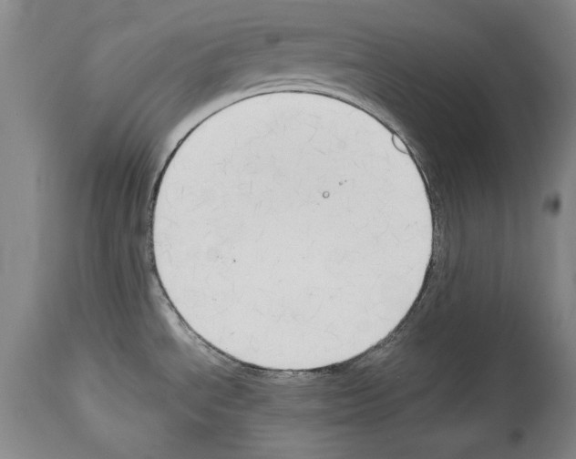 X0000113931534200911061208