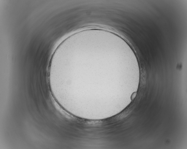 X0000113931535200911061208
