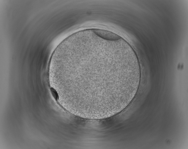 X0000113931536200911061208