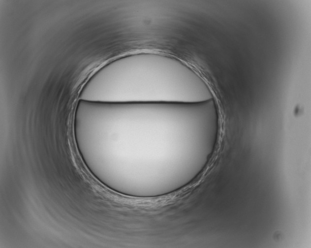 X0000113940001200909250950