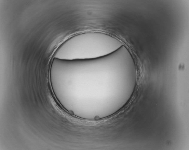 X0000113940002200909250950