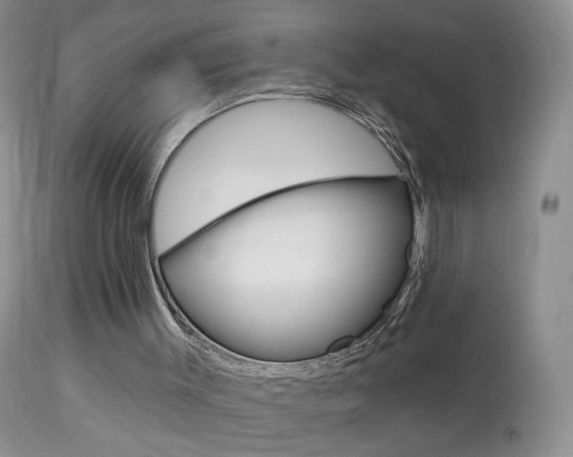 X0000113940003200909250950