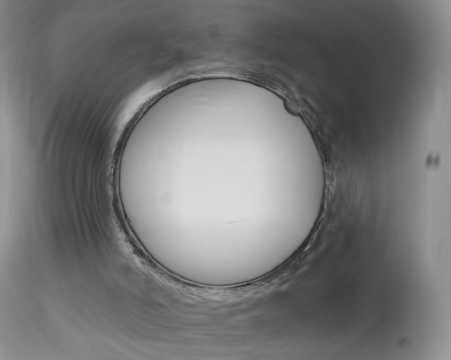 X0000113940006200909250950
