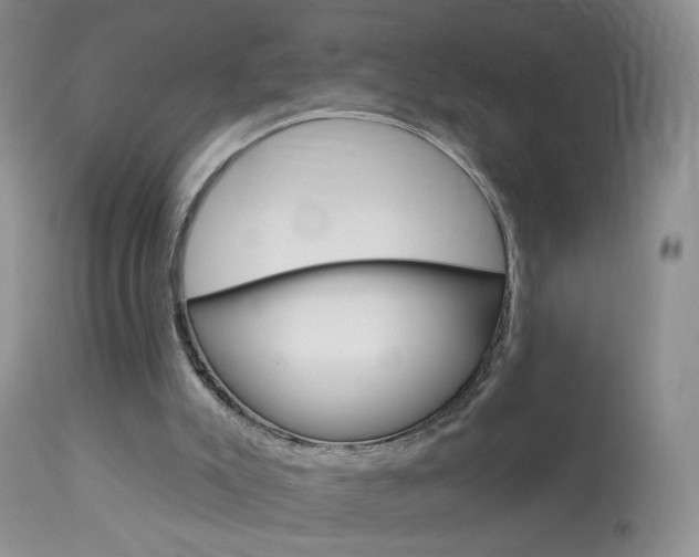 X0000113940007200909250950