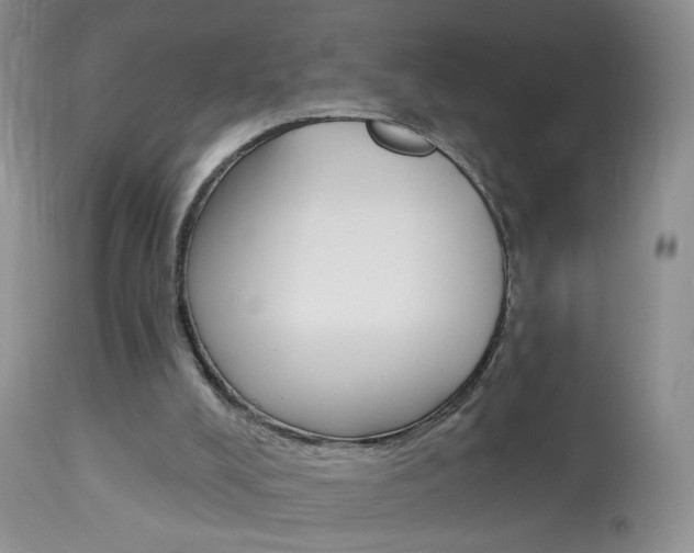 X0000113940008200909250950