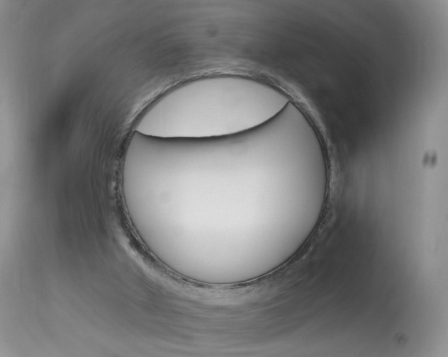 X0000113940010200909250950
