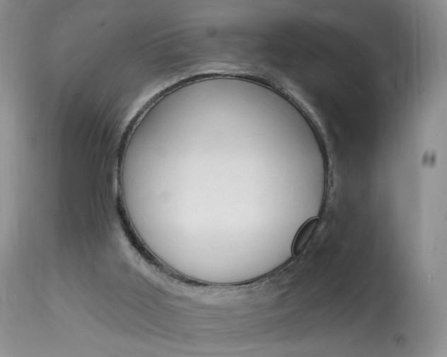 X0000113940011200909250950