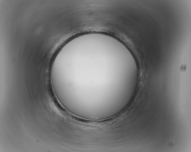 X0000113940012200909250950
