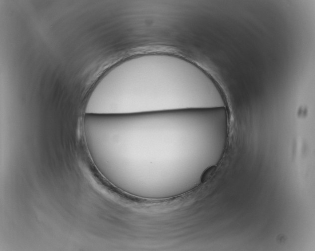 X0000113940013200909250950