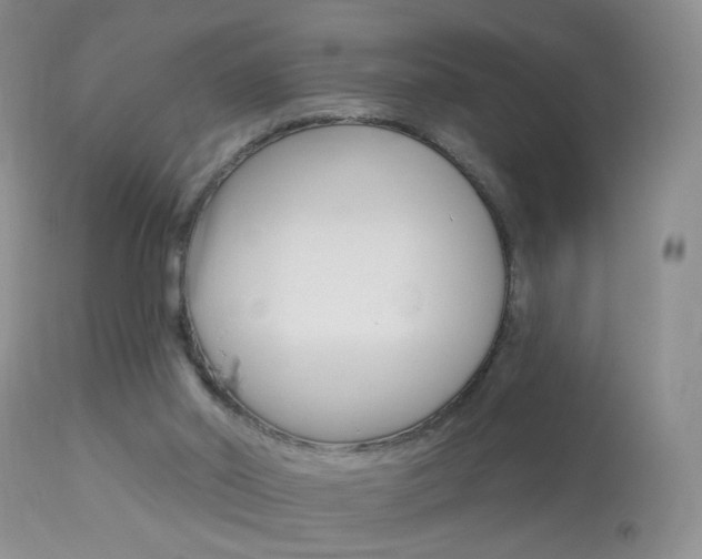 X0000113940014200909250950