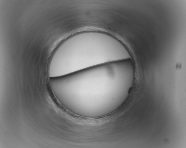 X0000113940015200909250950