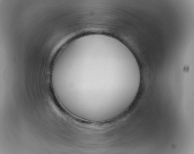 X0000113940016200909250950