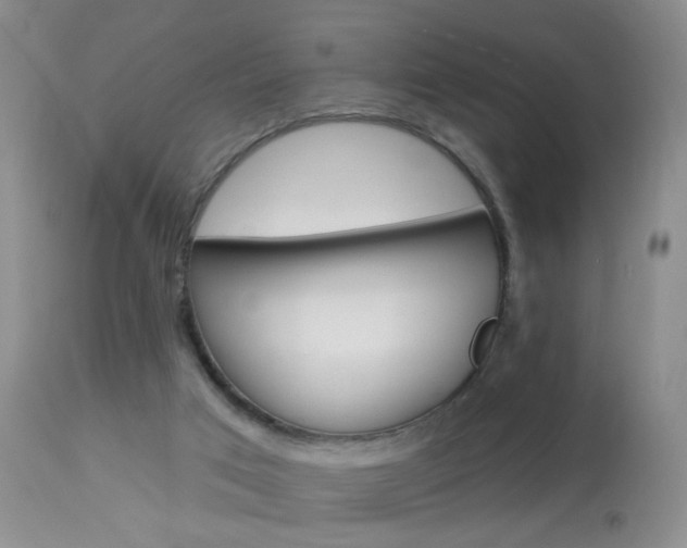 X0000113940017200909250950