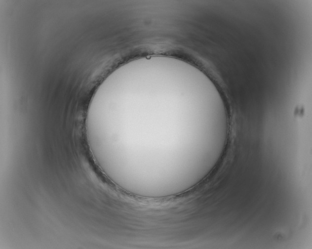 X0000113940018200909250950