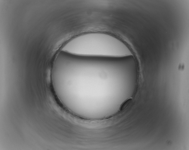 X0000113940019200909250950
