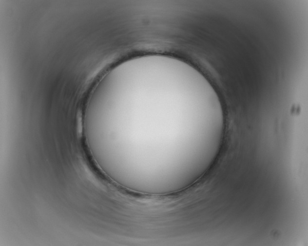 X0000113940020200909250950