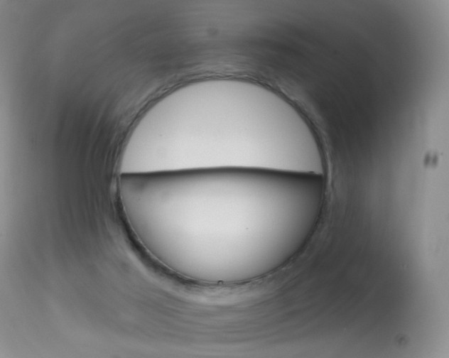 X0000113940021200909250950