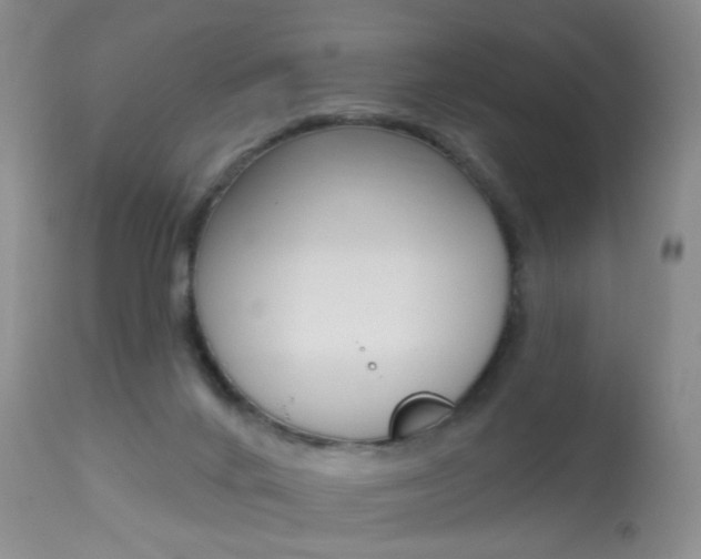 X0000113940024200909250950