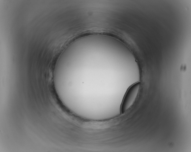 X0000113940025200909250950