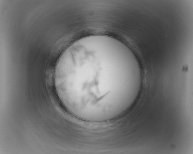 X0000113940026200909250950