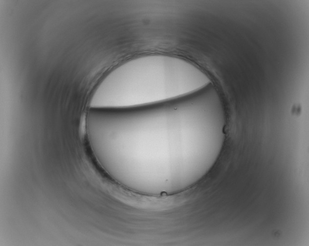 X0000113940027200909250950