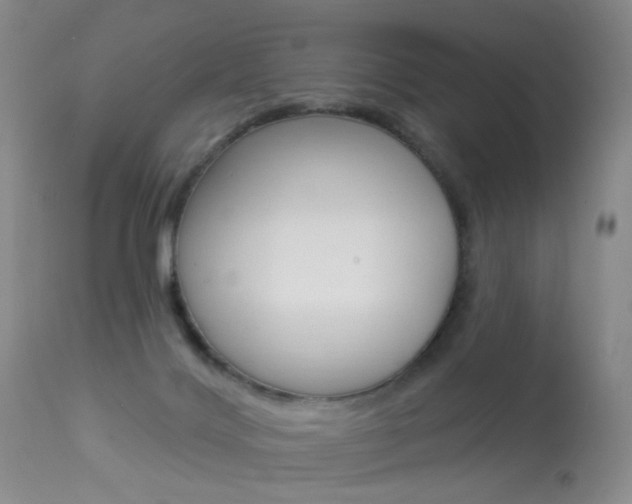 X0000113940028200909250950