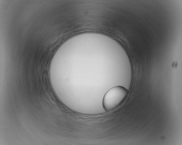 X0000113940029200909250950