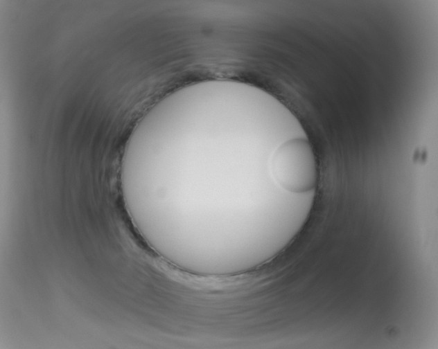 X0000113940030200909250950