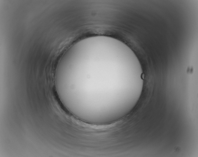 X0000113940031200909250950