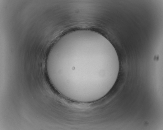 X0000113940032200909250950