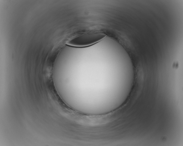 X0000113940033200909250950