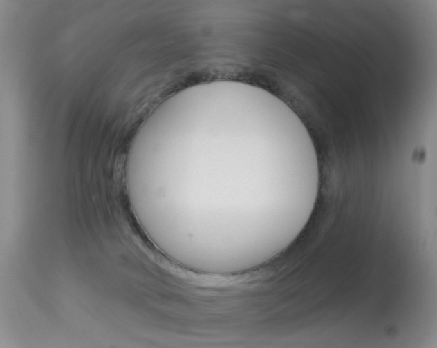X0000113940034200909250950