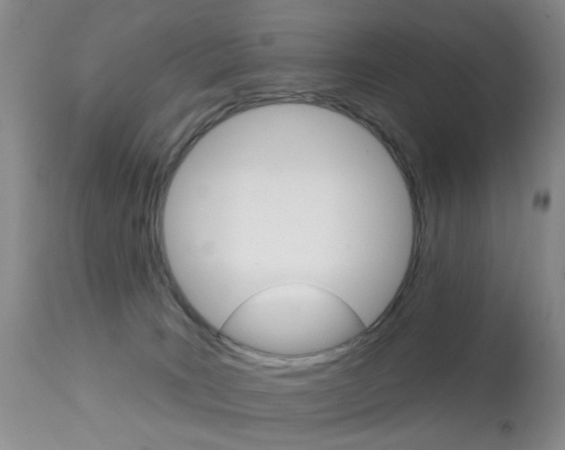 X0000113940035200909250950