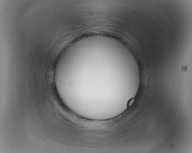 X0000113940036200909250950