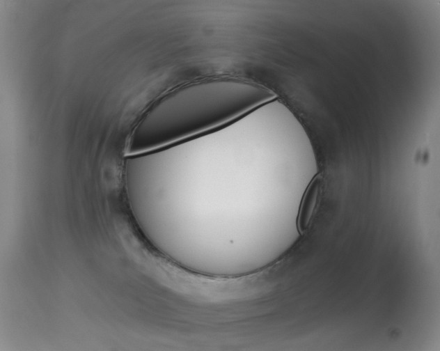 X0000113940039200909250950